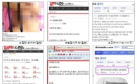 '일베'·'디시', 인터넷 커뮤니티 유해성 게시물 최다