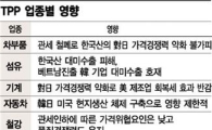 TPP타결 희비갈린 산업계, 車부품 '흐림' 삼성·현대차 '영향無'  한세실업 '맑음'
