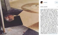 허지웅, 국정 교과서 논란 참다참다 결국…