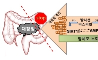 아스피린, 대장암 치료에 효과 있다?
