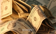 신흥국 중앙銀 '긴축'과 '완화' 사이 딜레마 빠져