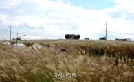 [포토]가을바람에 춤추는 억새 