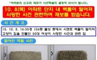 도 넘은 캣맘 혐오증…용인 캣맘 사건 공개수사 전환