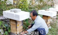 곡성군, "토종벌 개체수 늘어"
