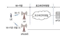 아이폰6S '와이파이 무료통화' 기능 못쓰는 한국
