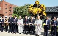 함평군,서울 조계사서 ‘국화향기 나눔전’개막