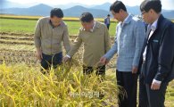 전남농협, 벼 직파재배 시범단지 첫 수확