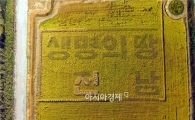 [포토]하늘에서 본 ‘생명의 땅 전남’