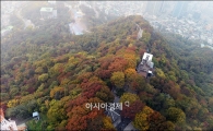 [포토]곱게 물든 남산 단풍