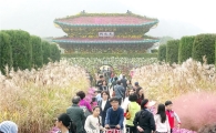 [포토]함평 국화축제장 관광객 북적