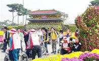 [포토]그윽한 국화향기 가득한 함평국화축제장