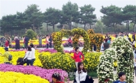 [포토]국화향기속에 초가을 정취 만끽하는 관광객들