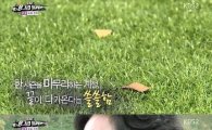 '청춘FC' 안정환, 마지막 경기에 아쉬움…"좋아하는 축구 통해 먹고 살면 좋겠다"