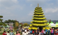 [포토]늦가을 정취 무르익어가는 함평국향대전