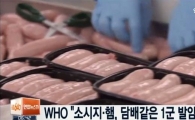 WHO 소시지·햄 연구결과에 국내 육가공업체 측 "문제없다"