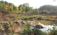 노원구 불암산 자락에 자연마당·생태학습관·자락길 조성