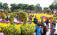 [포토]연일 관광객들로 붐비는 함평국화축제장