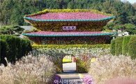 [포토]함평국화축제장 '광화문' 조형물 국화만개