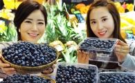 [포토]홈플러스, ‘칠레산 블루베리’ 항공 직송 판매