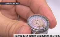 오래된 수도꼭지, 세균 오염도 상상초월