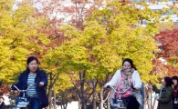 [포토]'단풍과 함께'
