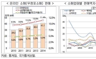 급격히 커진 온라인 소매업 성장 둔화…경쟁 기반 취약 '한계'