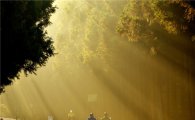[여행만리]황금빛 햇살 비추는 그 곳, 탐라의 가을이 탐나도다