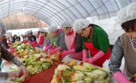 도봉구, 저소득 가구 돕기 사랑나눔 김장