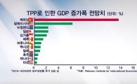 TPP 발효 2017년…韓 '발등의 불'
