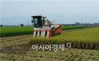 정부, 쌀 15만여톤 다음달에 추가 매입(상보)