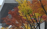 [포토]"도심속 늦가을을 즐겨요"