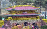 [포토]국화축제장에서 늦가을 만끽하는  관광객들