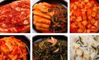 ‘김치맛’ 하나로 연매출 20억원?