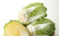 金채소에 가계 시름…배추·무·양파값 4월에도 오른다