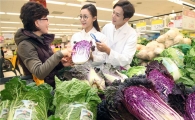 [포토]이마트, 농촌진흥청과 신품종 배추 5종 개발