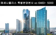 합정 메세나폴리스 회사보유분 특별분양에 강남아파트매매하려던 서울아파트투자자들 몰려!