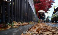 [포토]낙엽 밟는 소리와 빗방울 소리 