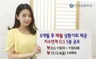 신한금투, 지수연계 ELS 등 5종 모집
