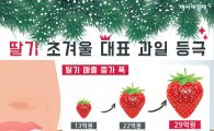[인포그래픽] 딸기, 초겨울 대표 과일로…11월 매출 폭증