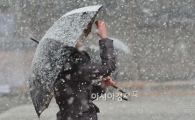 [포토]함박눈이 내리는 풍경 