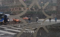 [포토]함박눈 쏟아지는 서울 