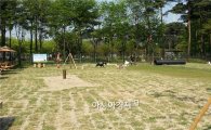 내년 4월 보라매공원에 '반려견 놀이터' 개장