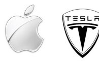 "애플, 전기차 프로젝트 위해 테슬라 인수해야"