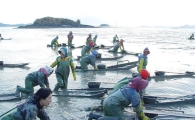 보성 ‘뻘배어업’ 국가중요어업유산으로 지정