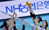 [포토]양효진, '차원이 다른 높이'