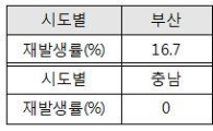 산림청, 재선충병 재발률 평균 29.5%…충남 0%·대구 238%