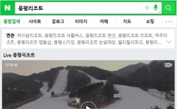 "네이버에서 서울광장·스키장 전경 한눈에 보세요"