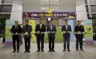 진에어, 인천~호놀룰루 취항…탑승률 97%