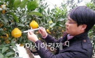 완도군, 바이오기능수 활용 현장평가회 개최