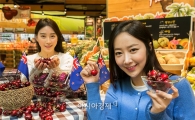 홈플러스 "FTA로 싸진 뉴질랜드산 체리 맛보세요"